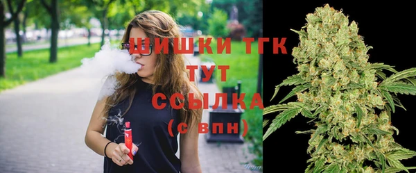 прущие грибы Верхнеуральск