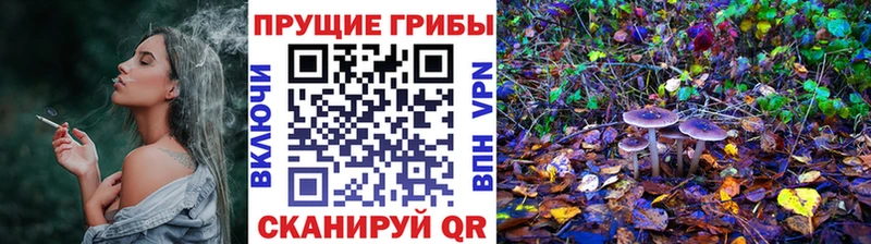 Купить где  Покачи  Псилоцибиновые грибы ЛСД 